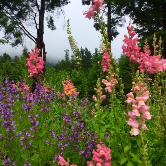 Meet your Posher, Dianne - Picture 1 of 1